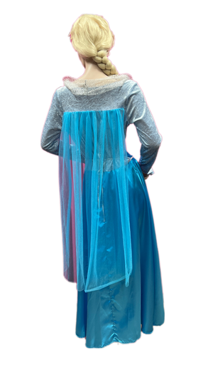 Frozen Jurk Elsa | Huur