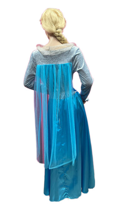 Frozen Jurk Elsa | Huur