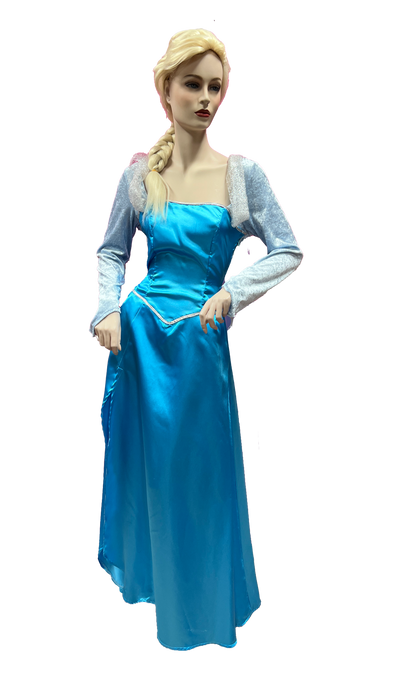 Frozen Jurk Elsa | Huur